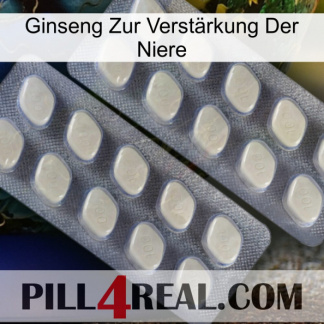 Ginseng Zur Verstärkung Der Niere 07